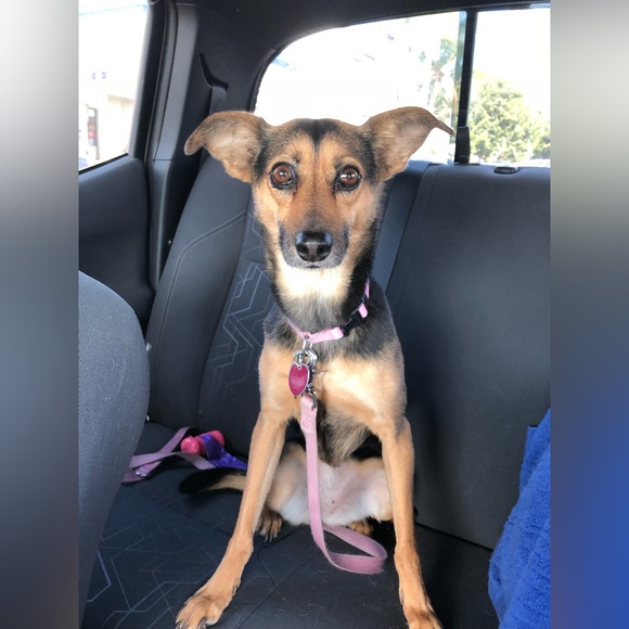 LIKE THIS TO BE NOTIFIED WHEN I GO LIVE!!๐โฎ๏ธ๐๐๏ธ๐ฆ - Picture 7 of 14